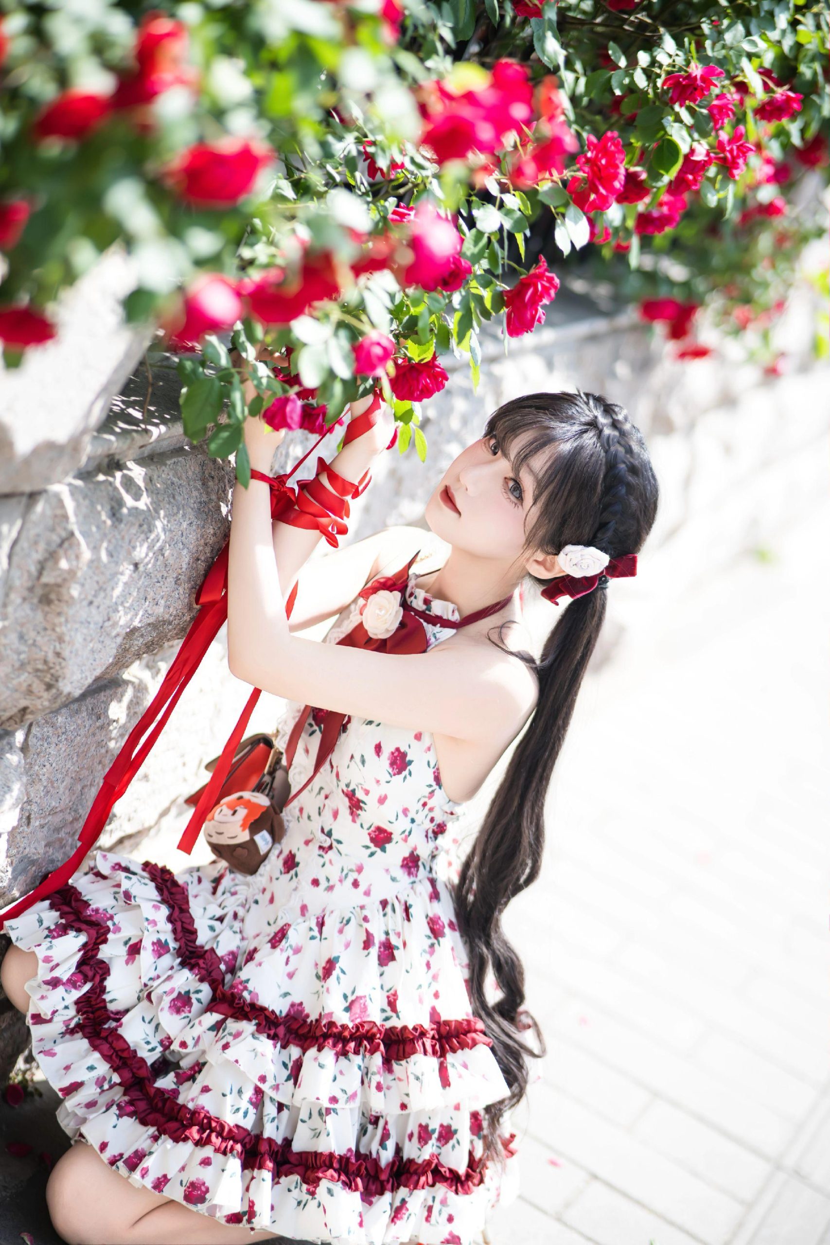 禹都一只猫资源资讯