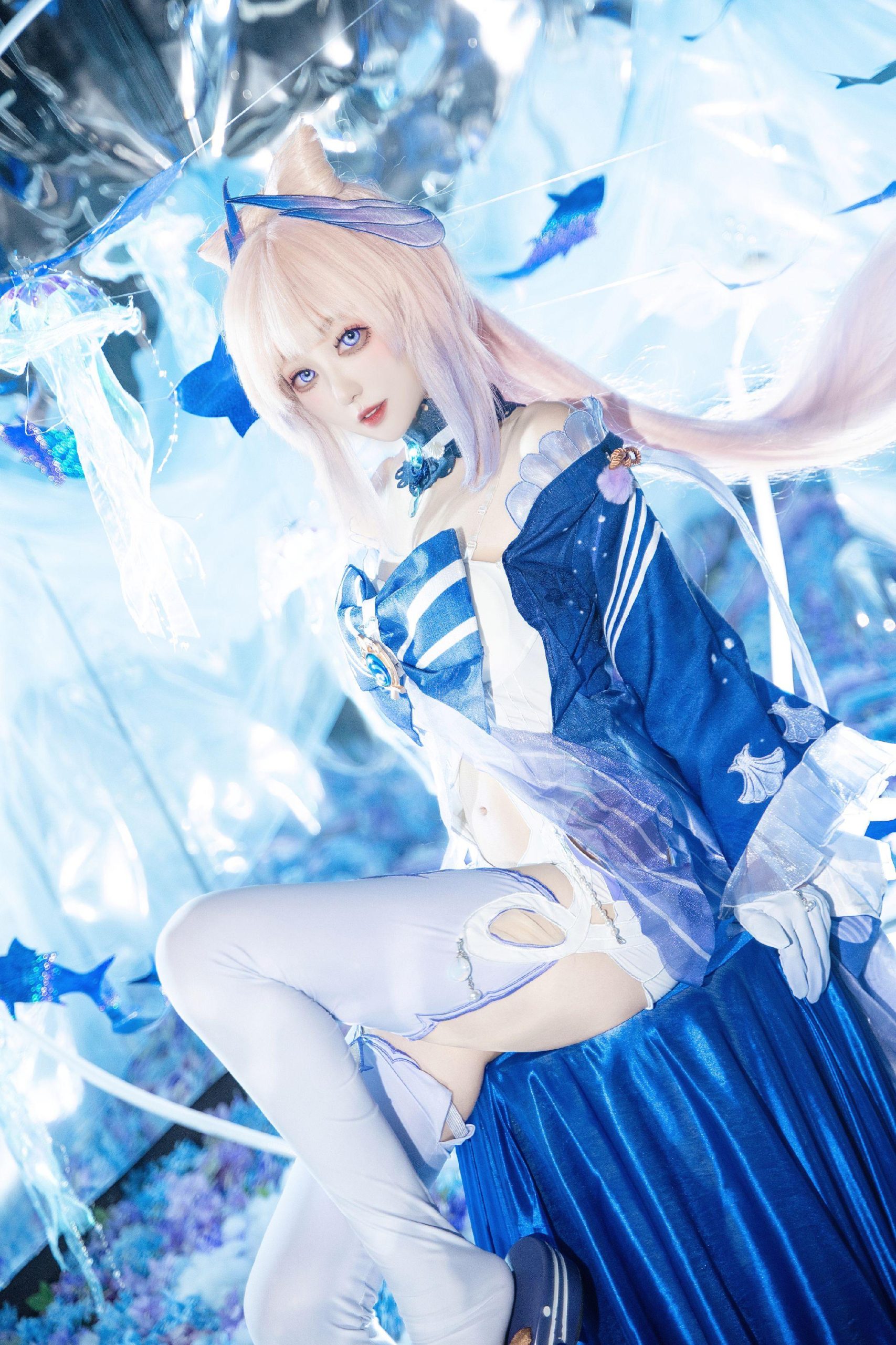 禹都一只猫资源资讯