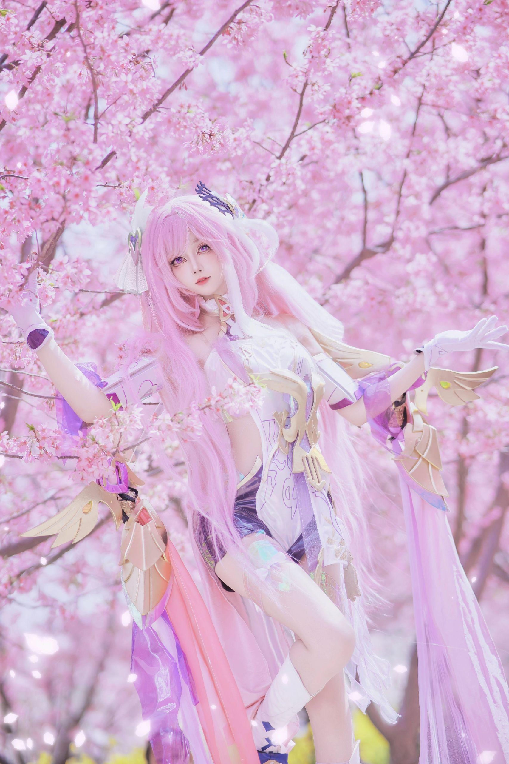 禹都一只猫资源资讯