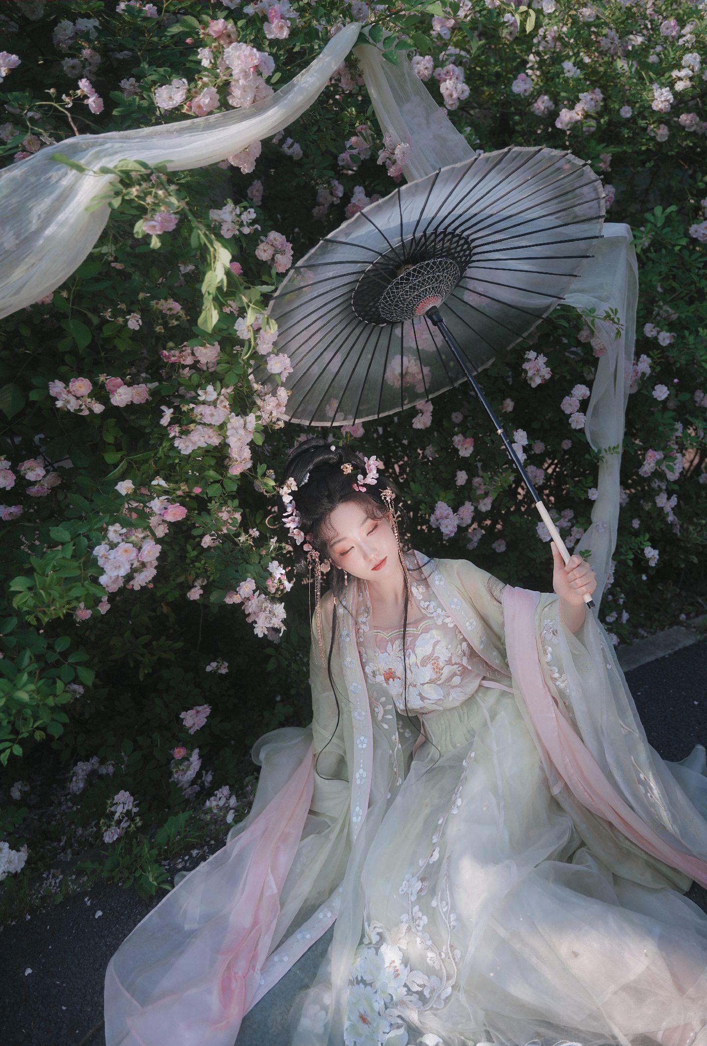 禹都一只猫资源资讯