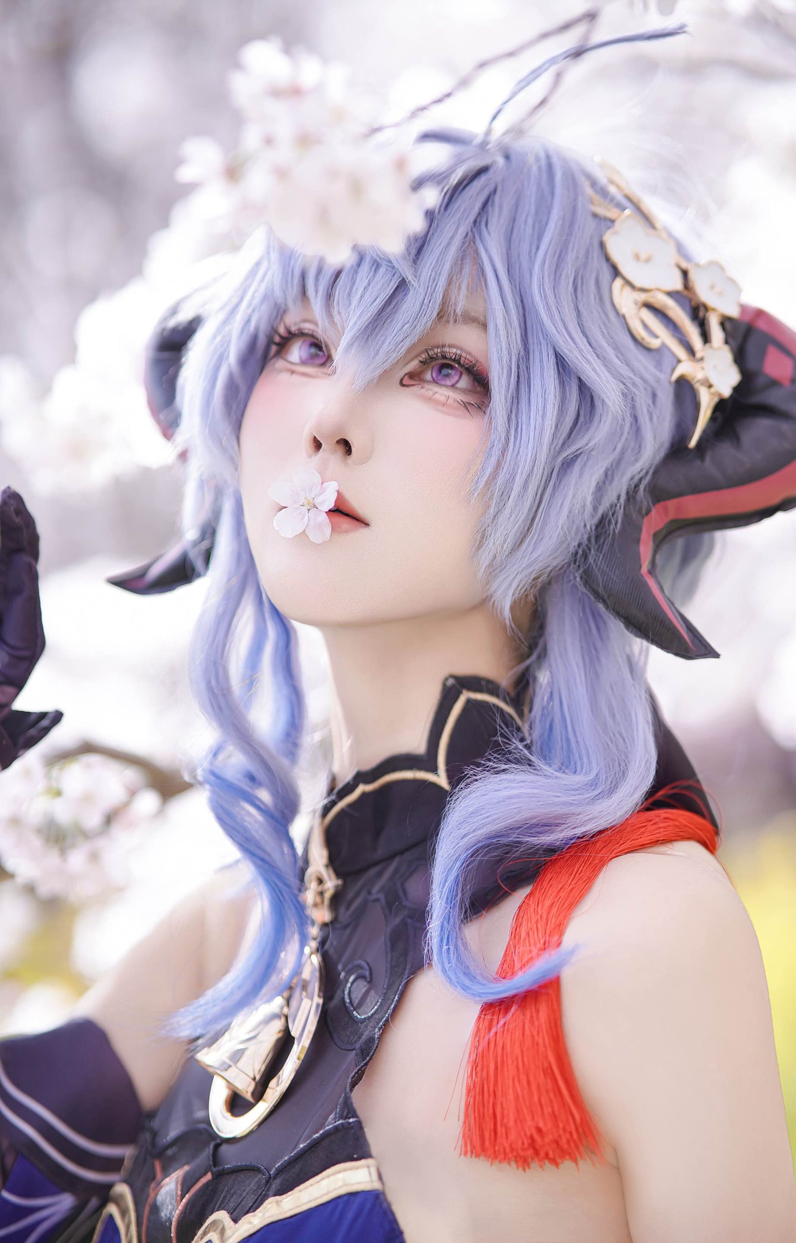 禹都一只猫资源资讯