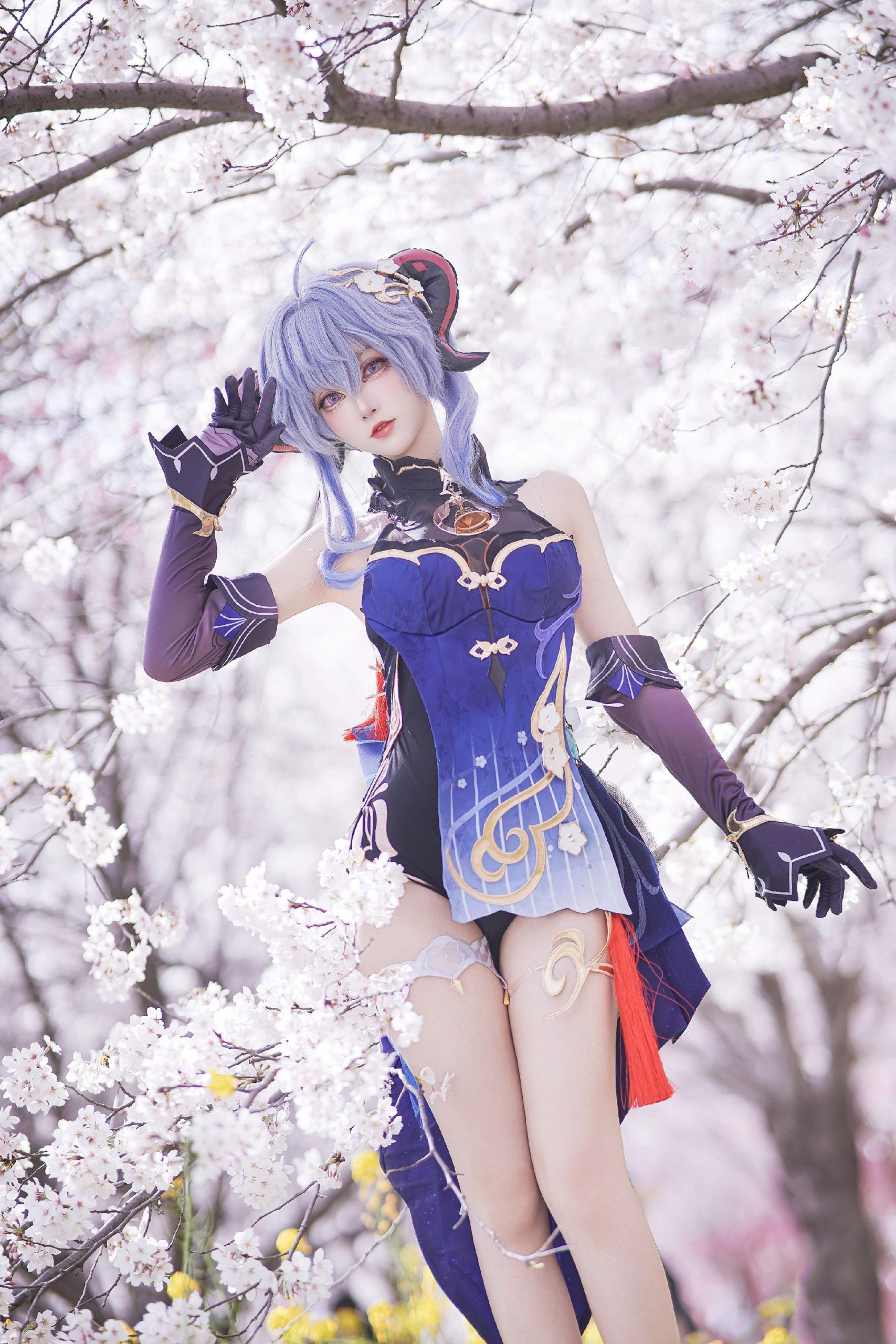 禹都一只猫资源资讯