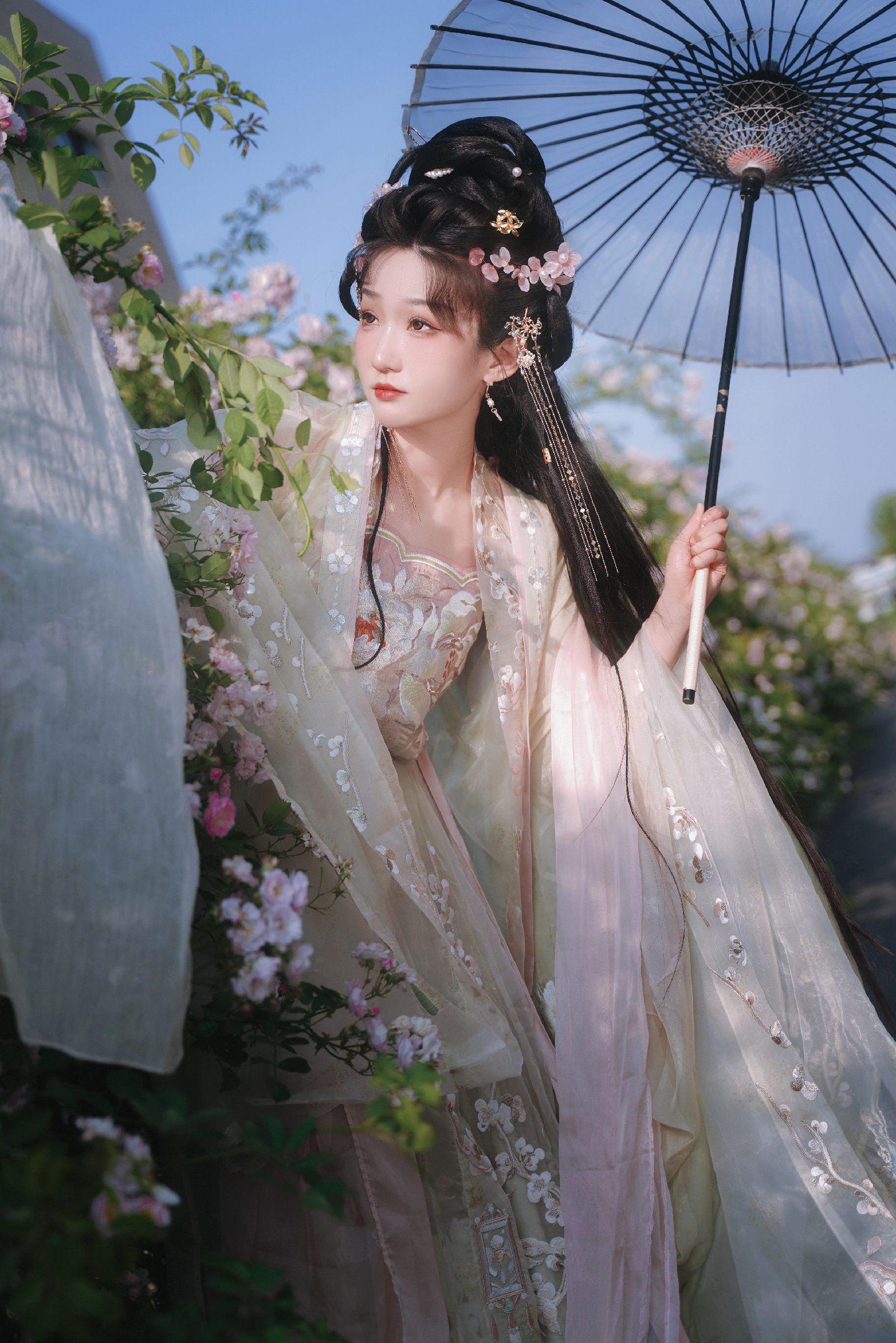 禹都一只猫资源资讯