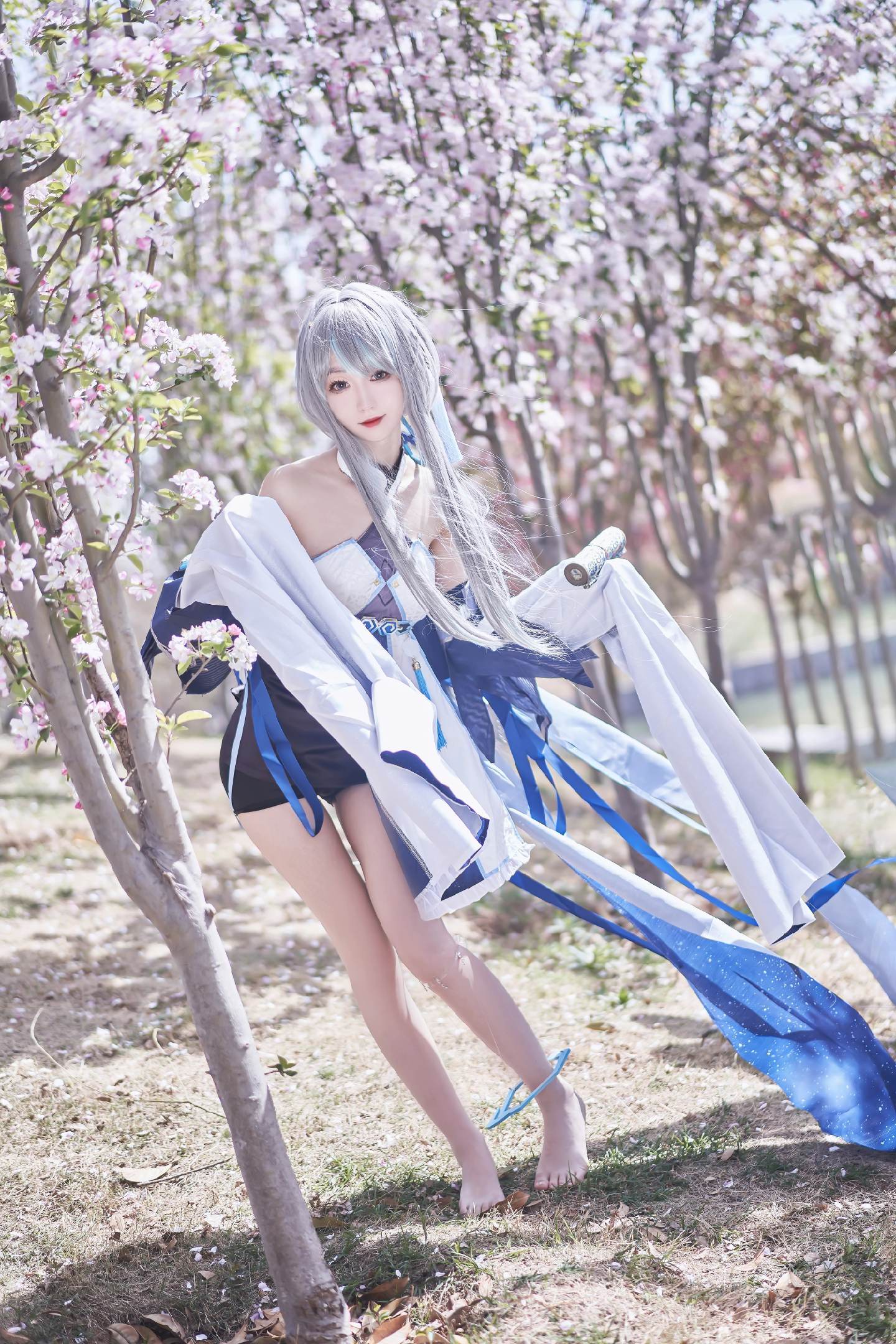 禹都一只猫资源资讯