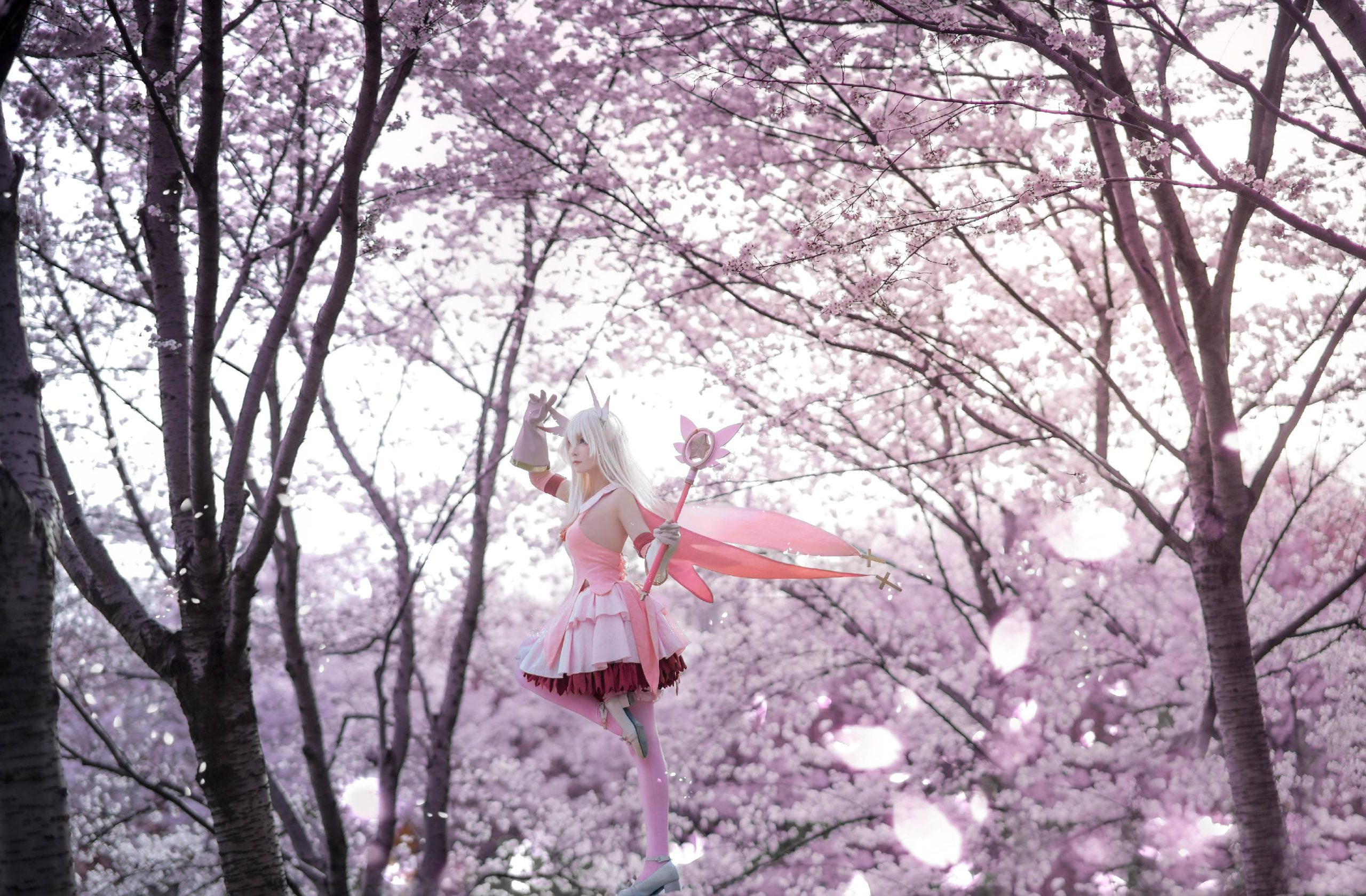 禹都一只猫资源资讯