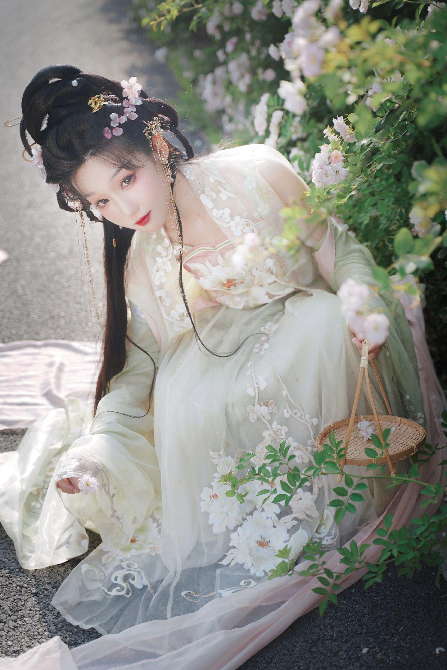 禹都一只猫资源资讯