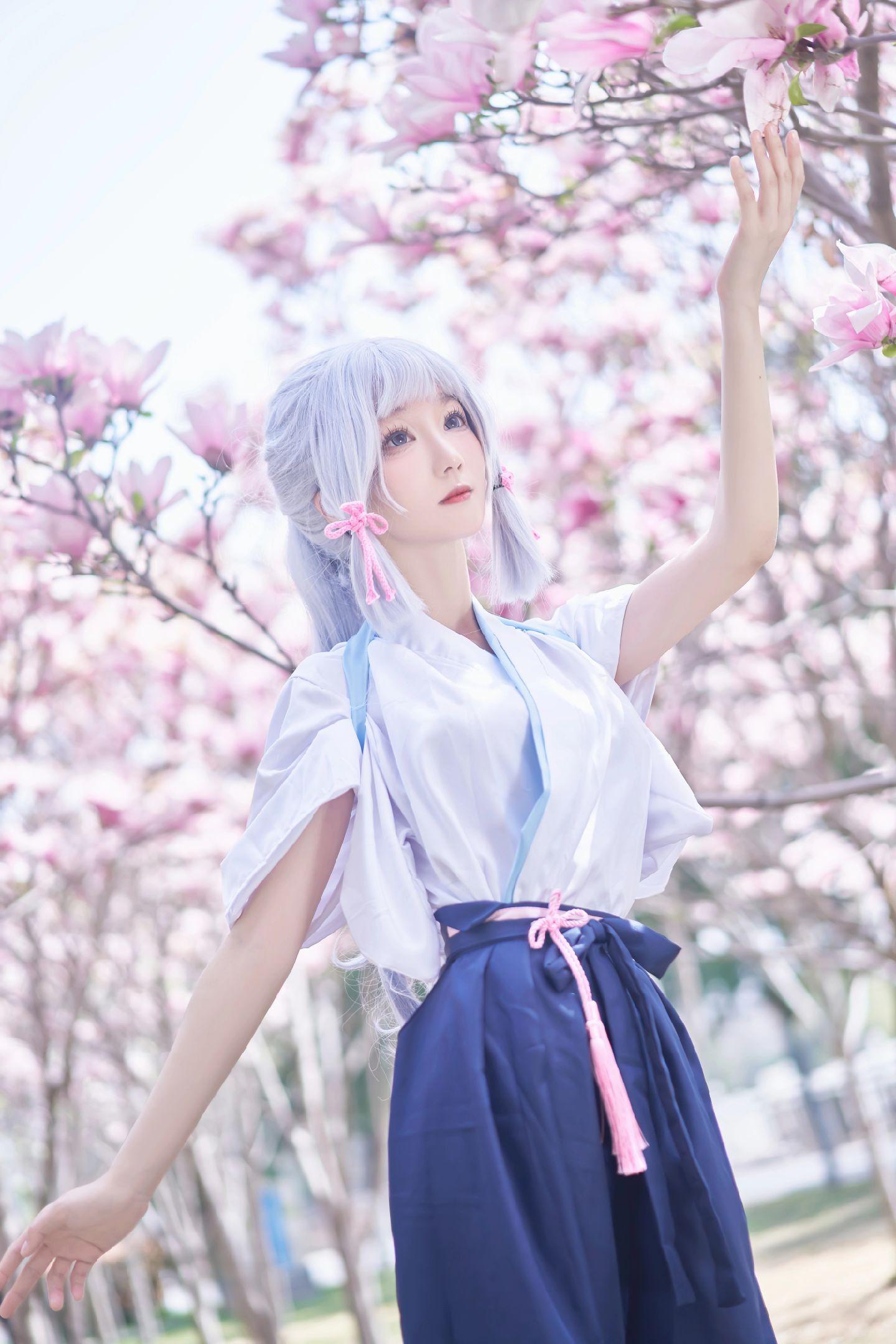 禹都一只猫资源资讯