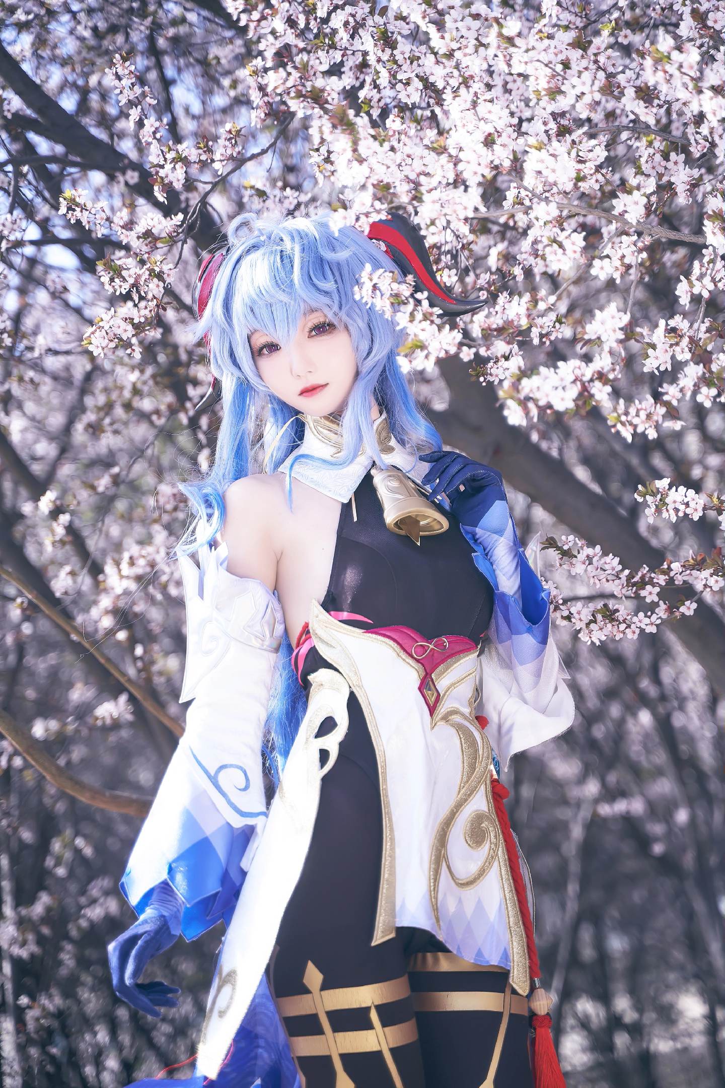 禹都一只猫资源资讯