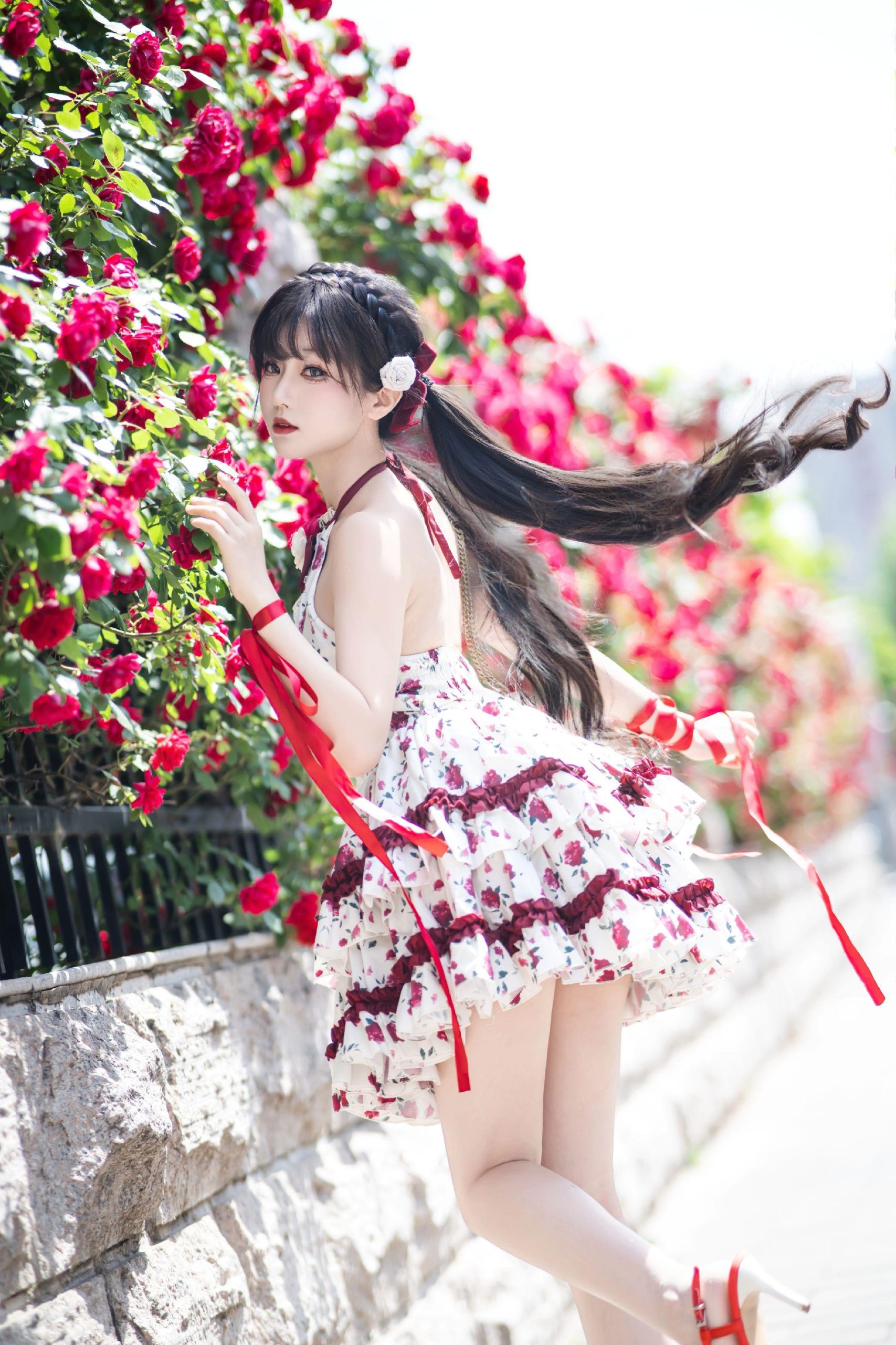 禹都一只猫资源资讯