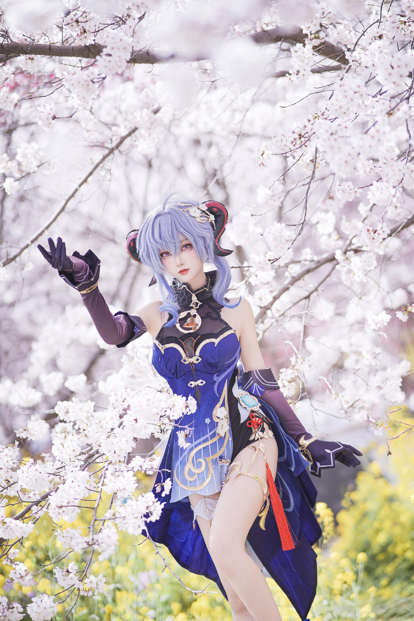 禹都一只猫资源资讯