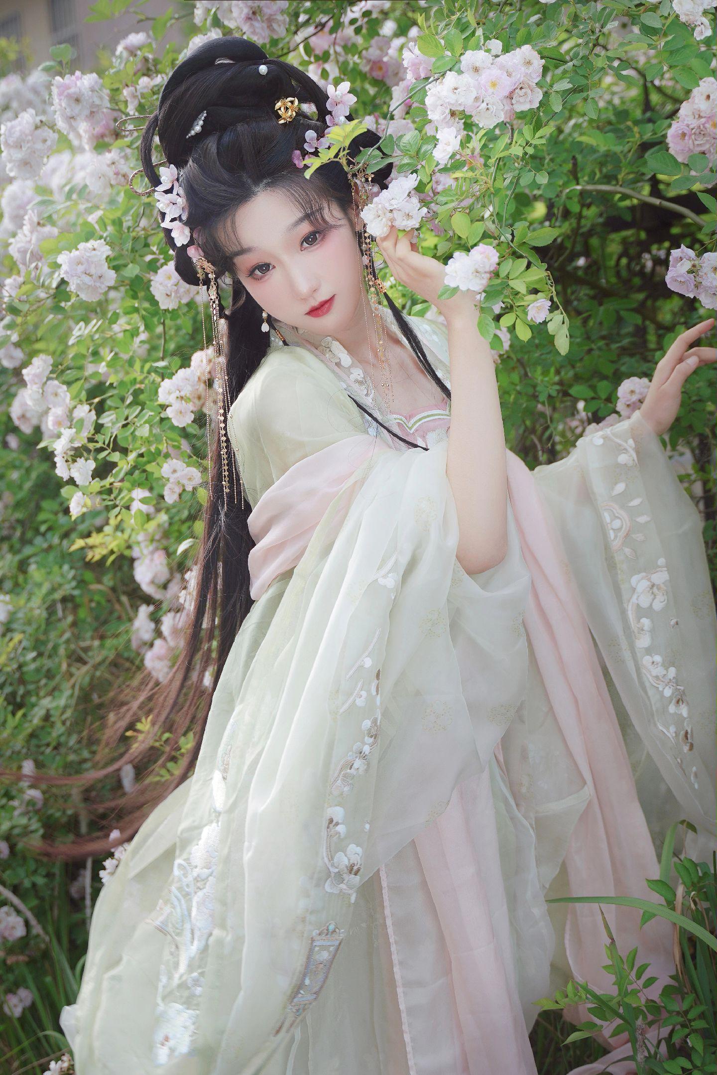 禹都一只猫资源资讯