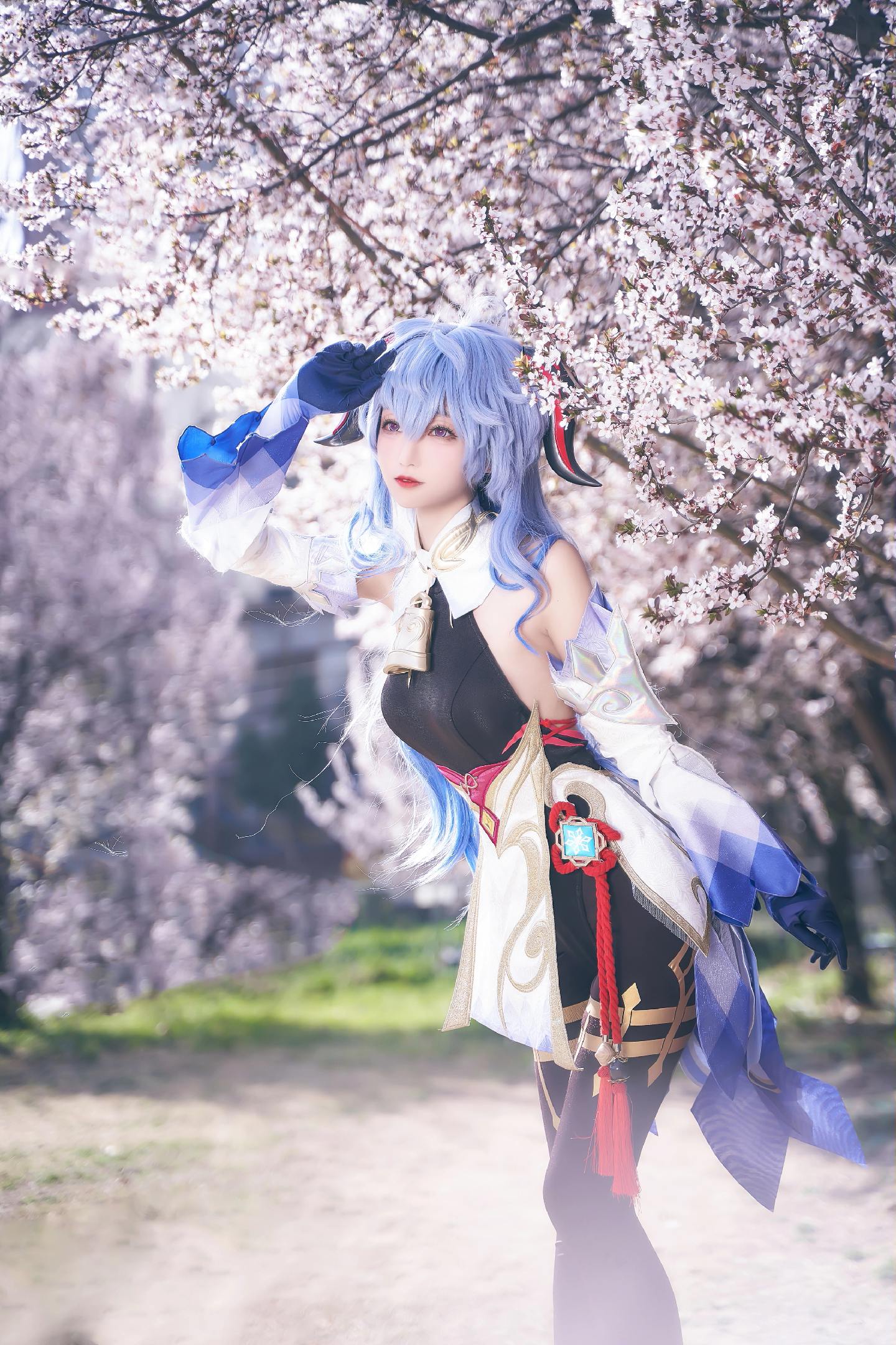 禹都一只猫资源资讯