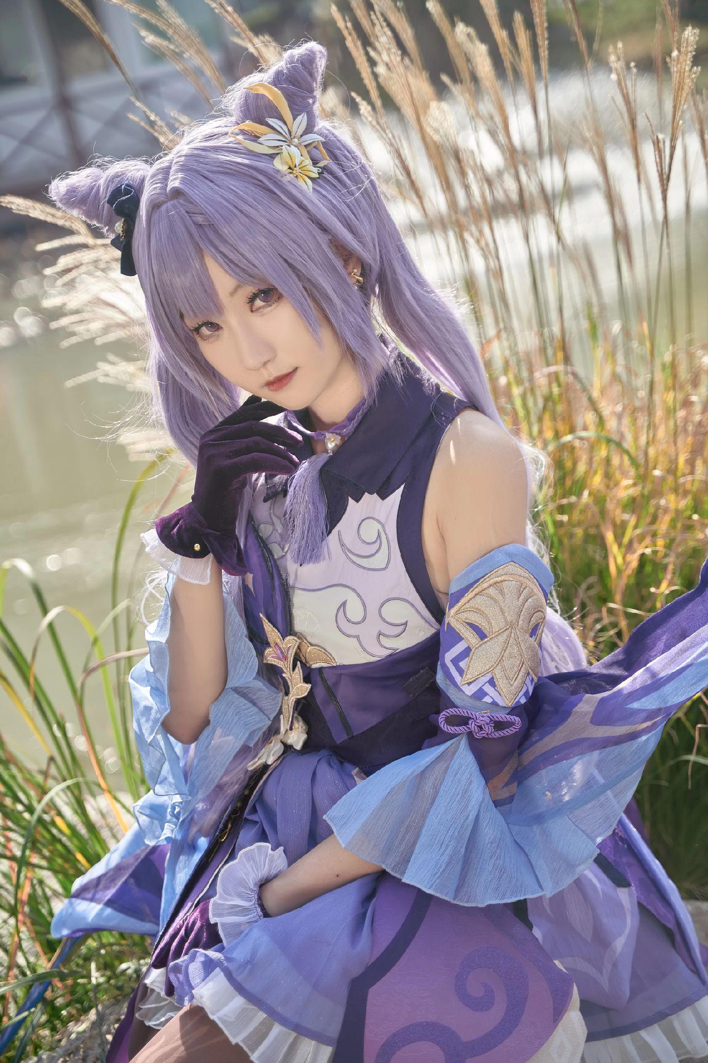 禹都一只猫资源资讯