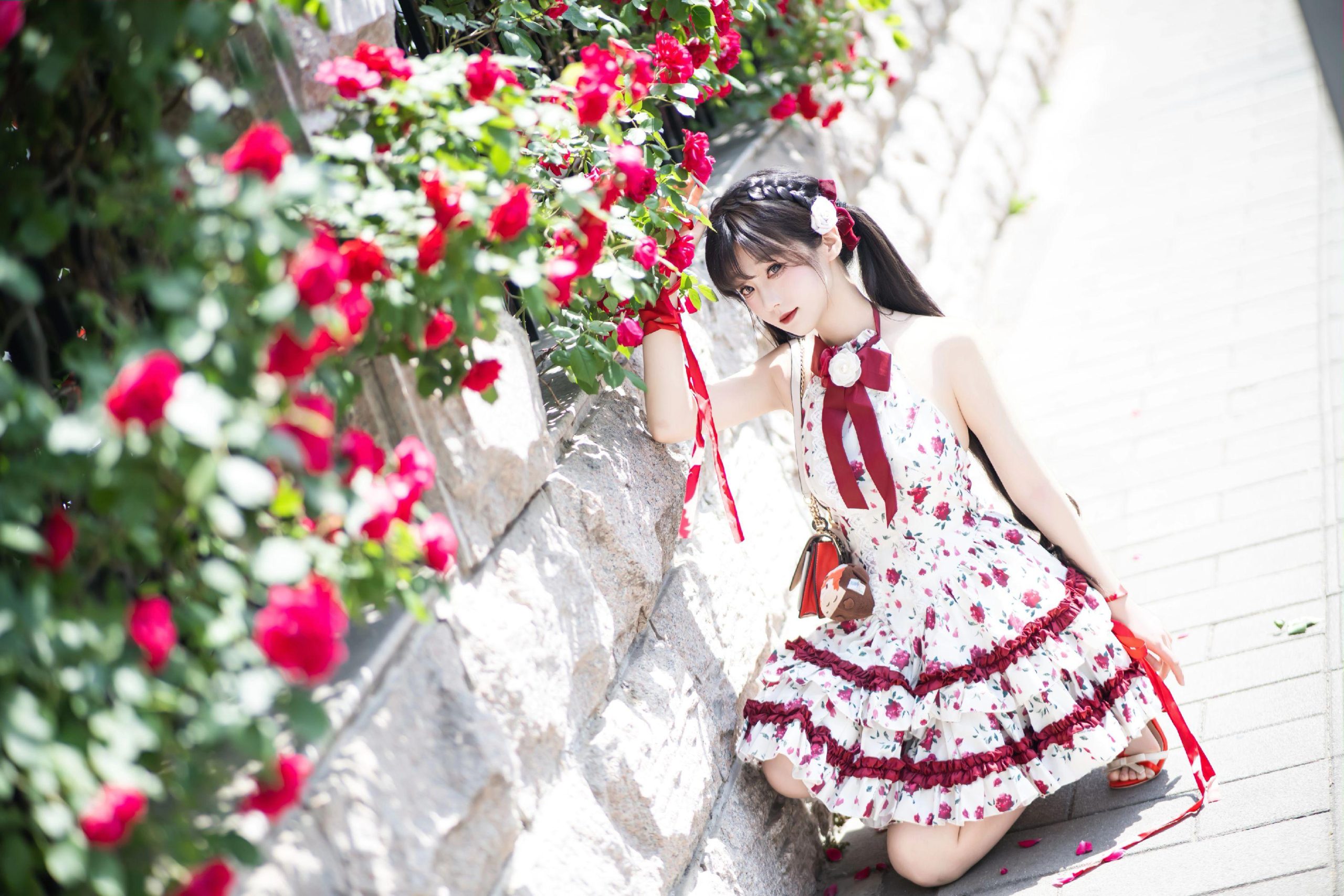 禹都一只猫资源资讯