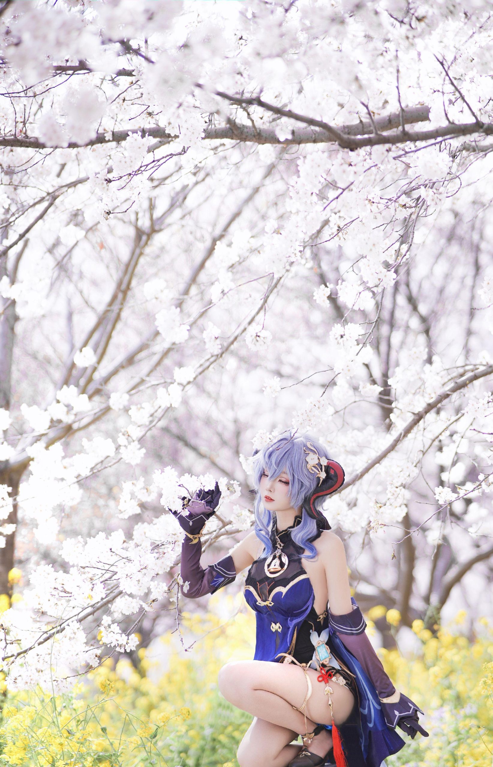 禹都一只猫资源资讯