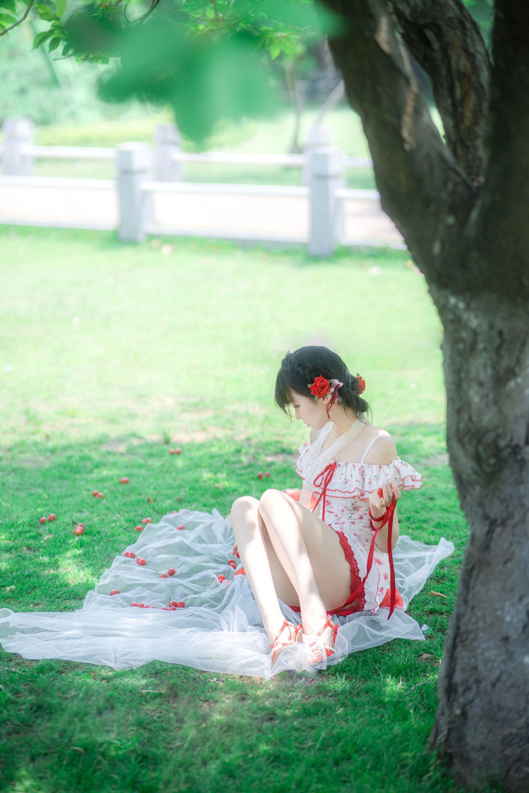 禹都一只猫资源资讯