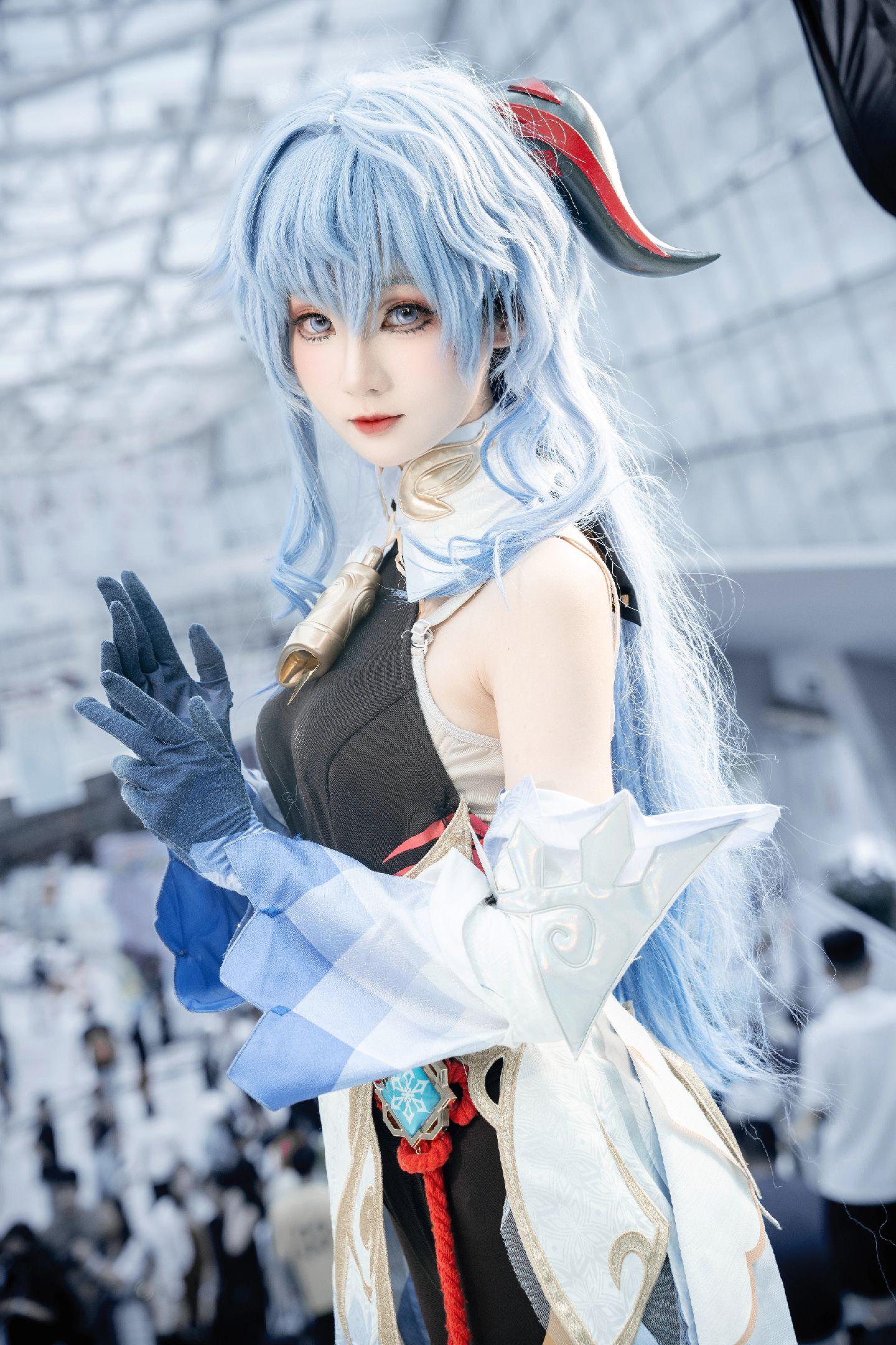 禹都一只猫资源资讯