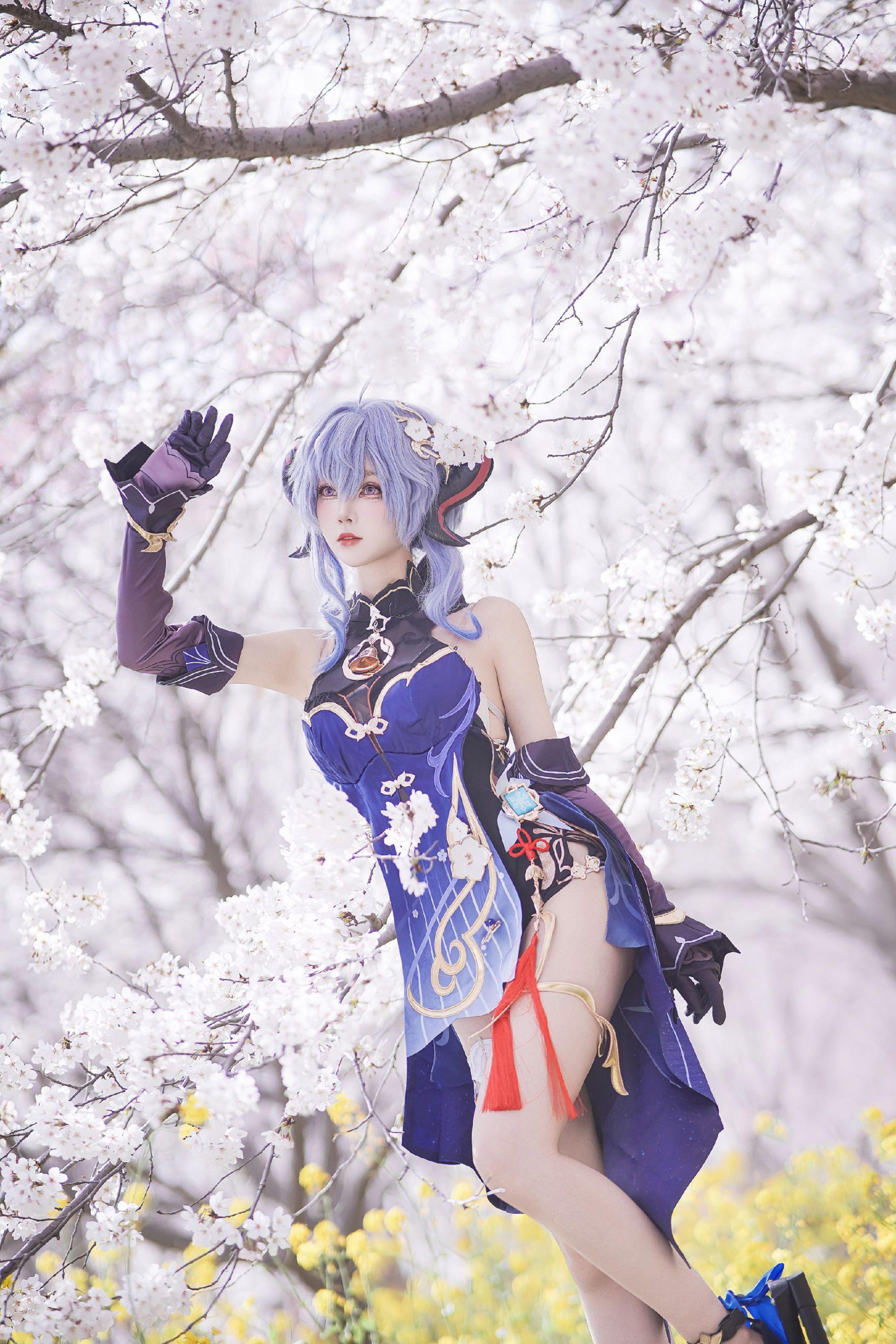 禹都一只猫资源资讯