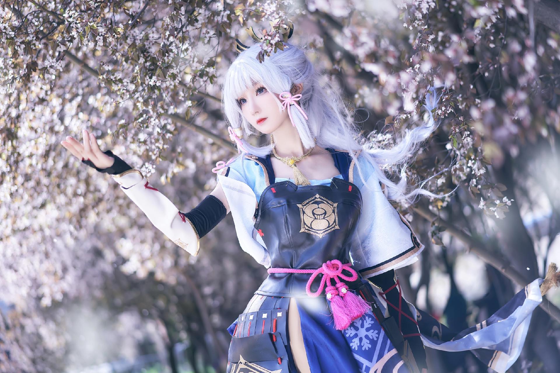 禹都一只猫资源资讯