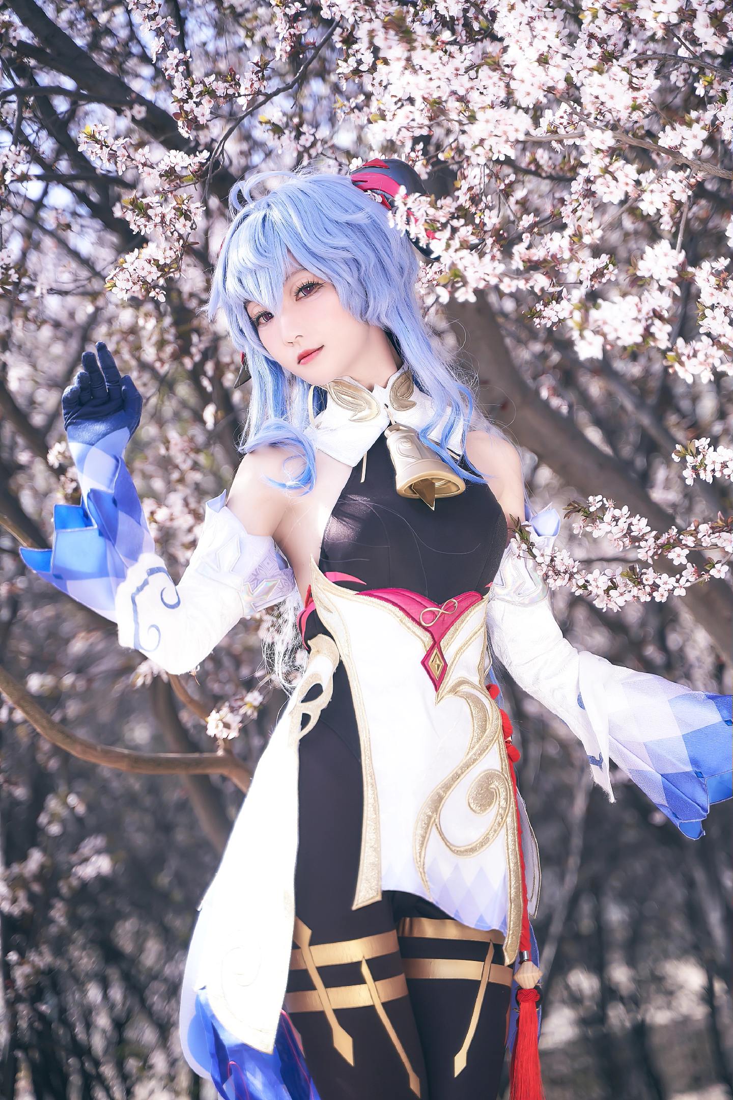 禹都一只猫资源资讯