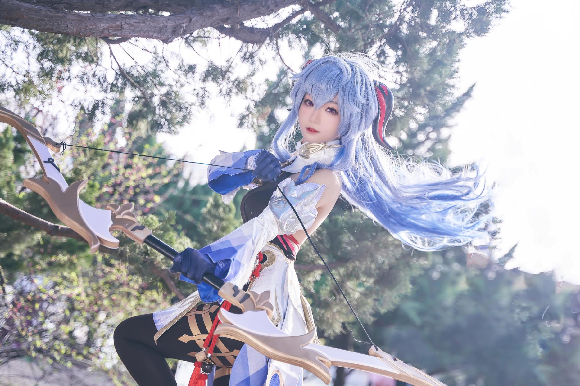 禹都一只猫资源资讯