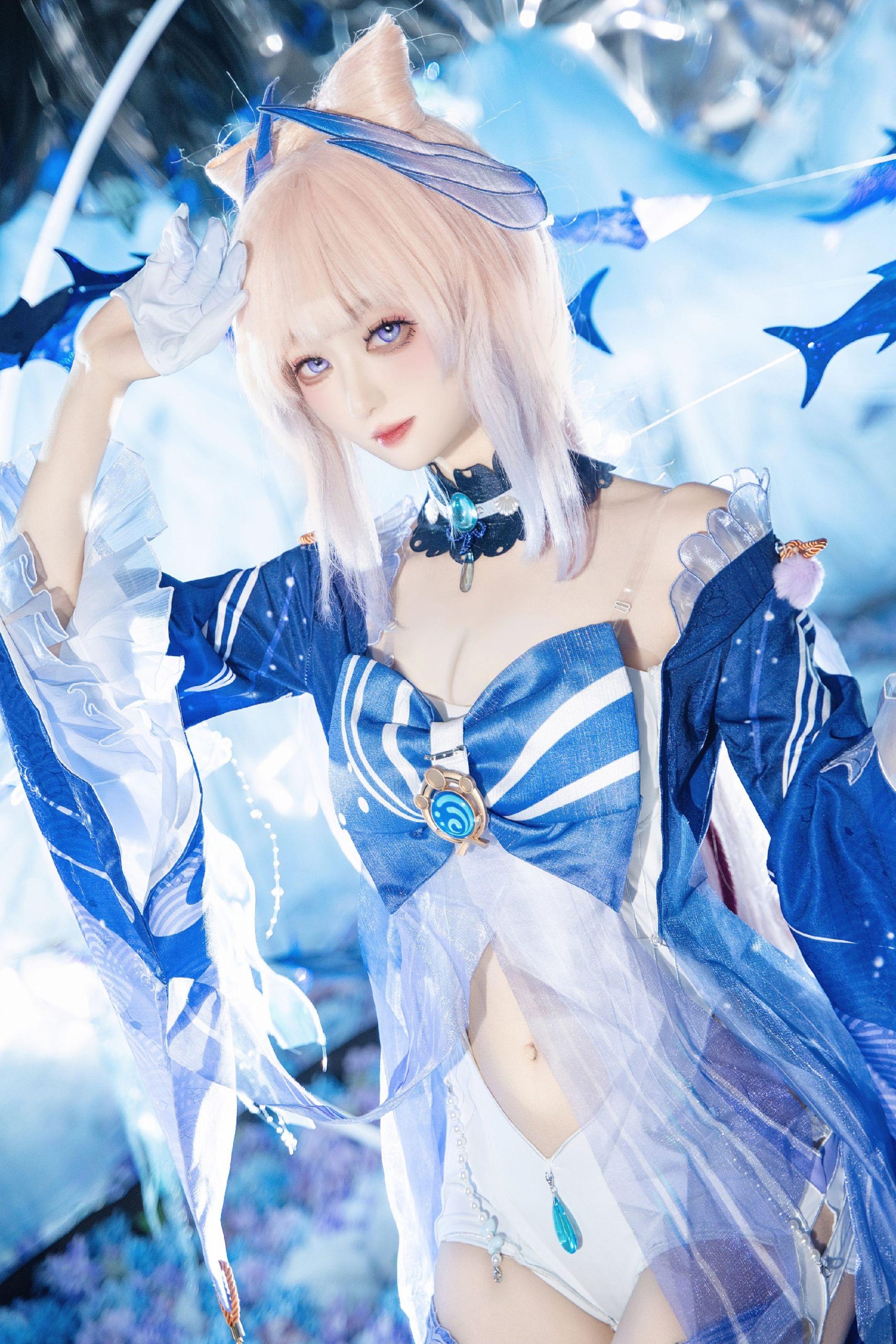 禹都一只猫资源资讯