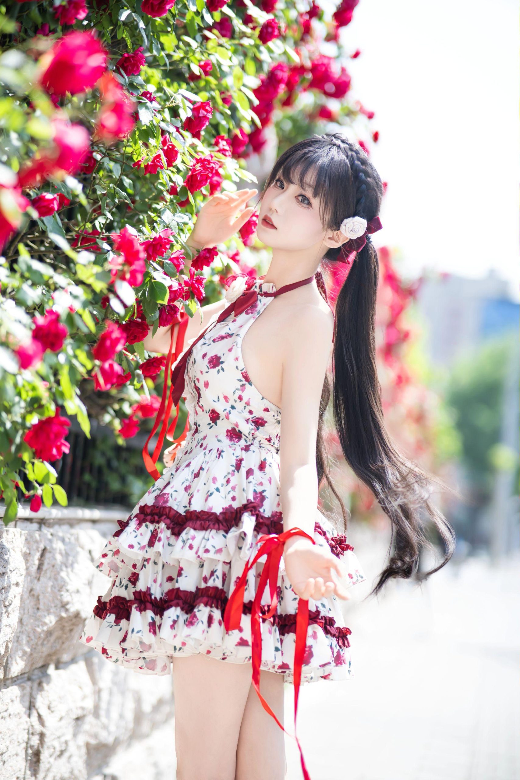 禹都一只猫资源资讯