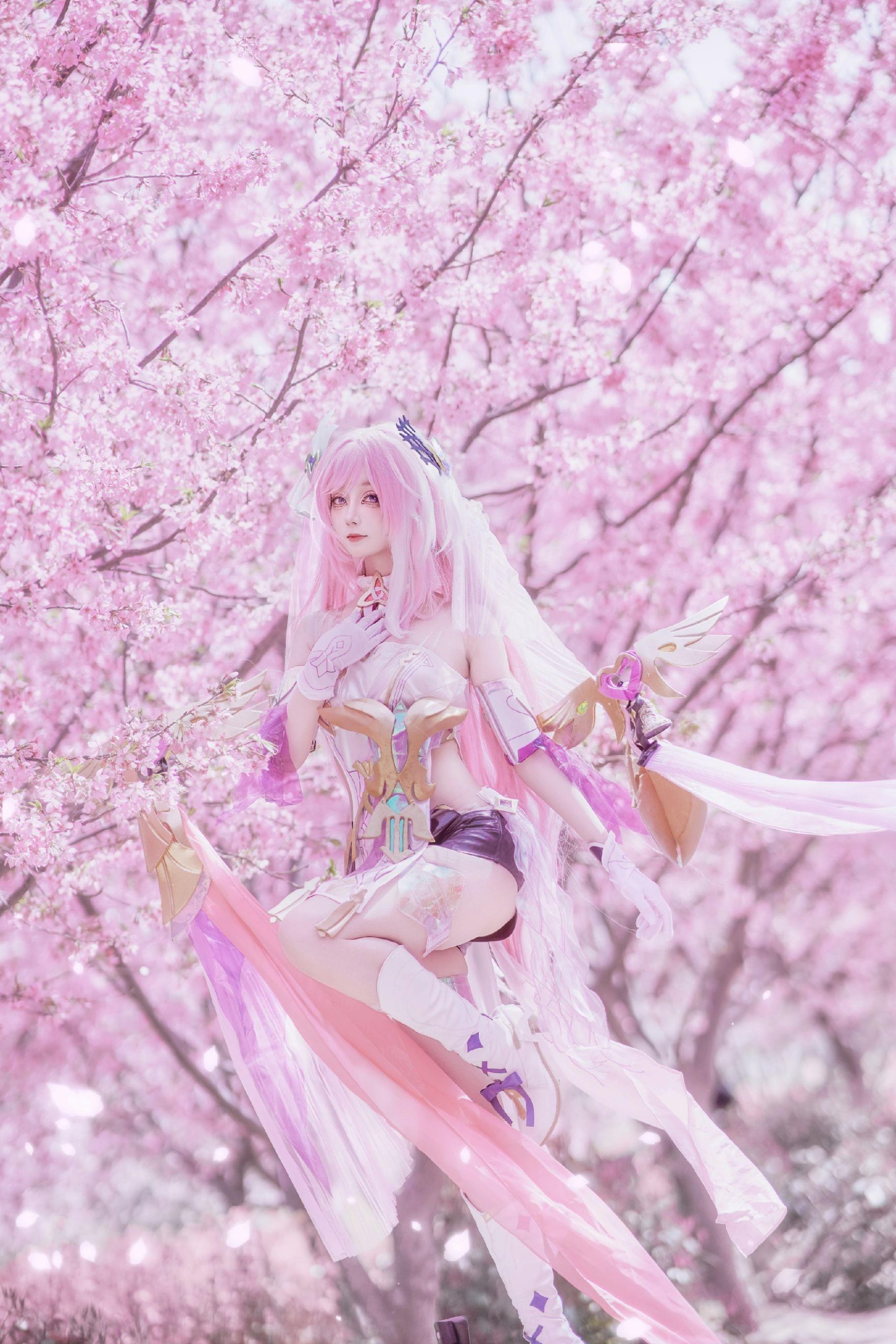 禹都一只猫资源资讯