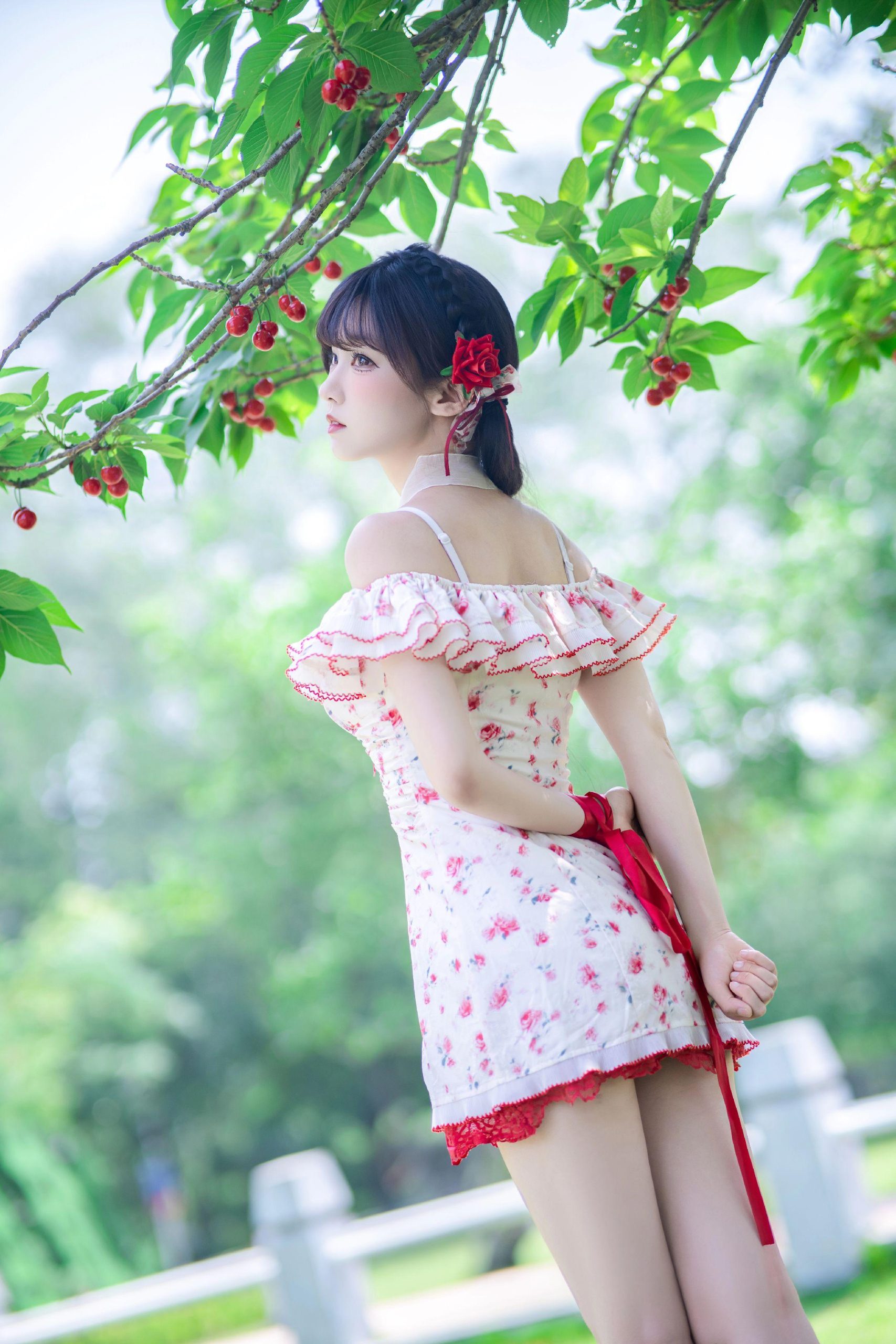 禹都一只猫资源资讯