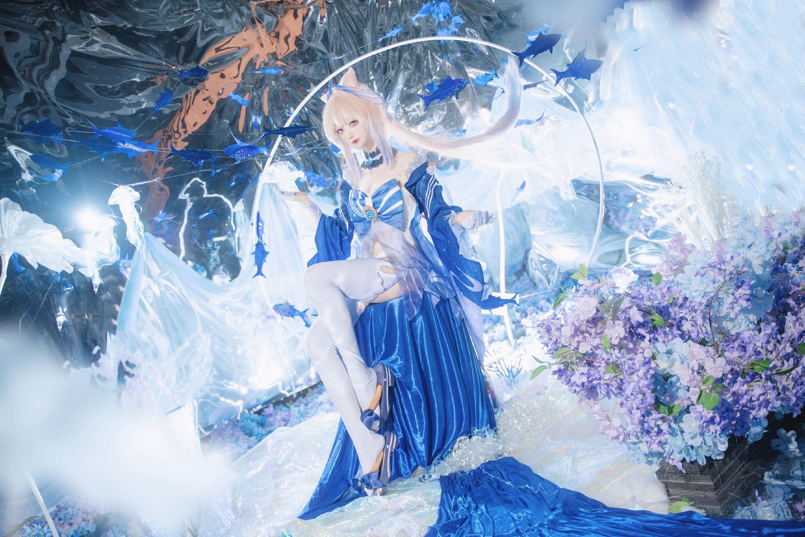 禹都一只猫资源资讯