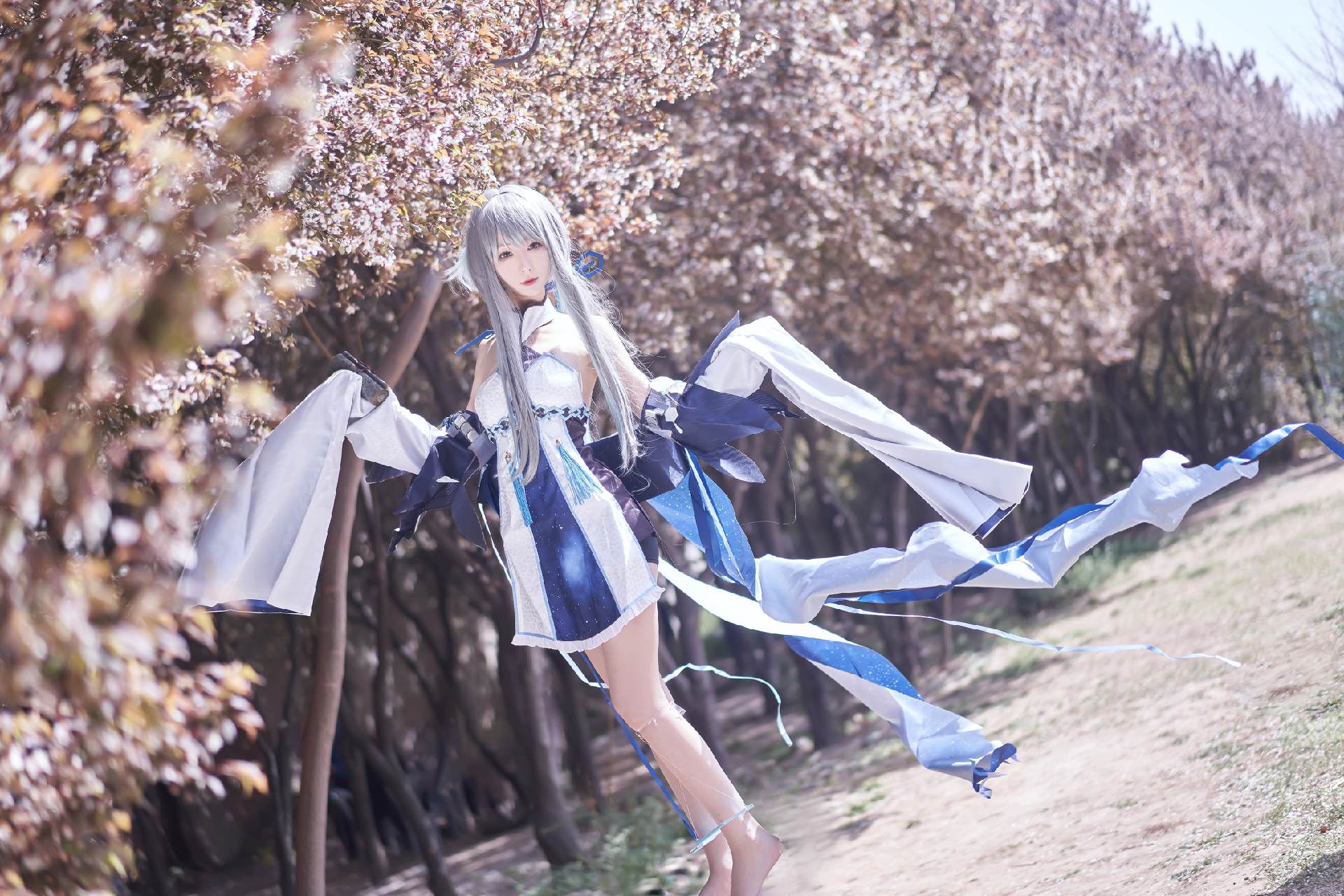 禹都一只猫资源资讯