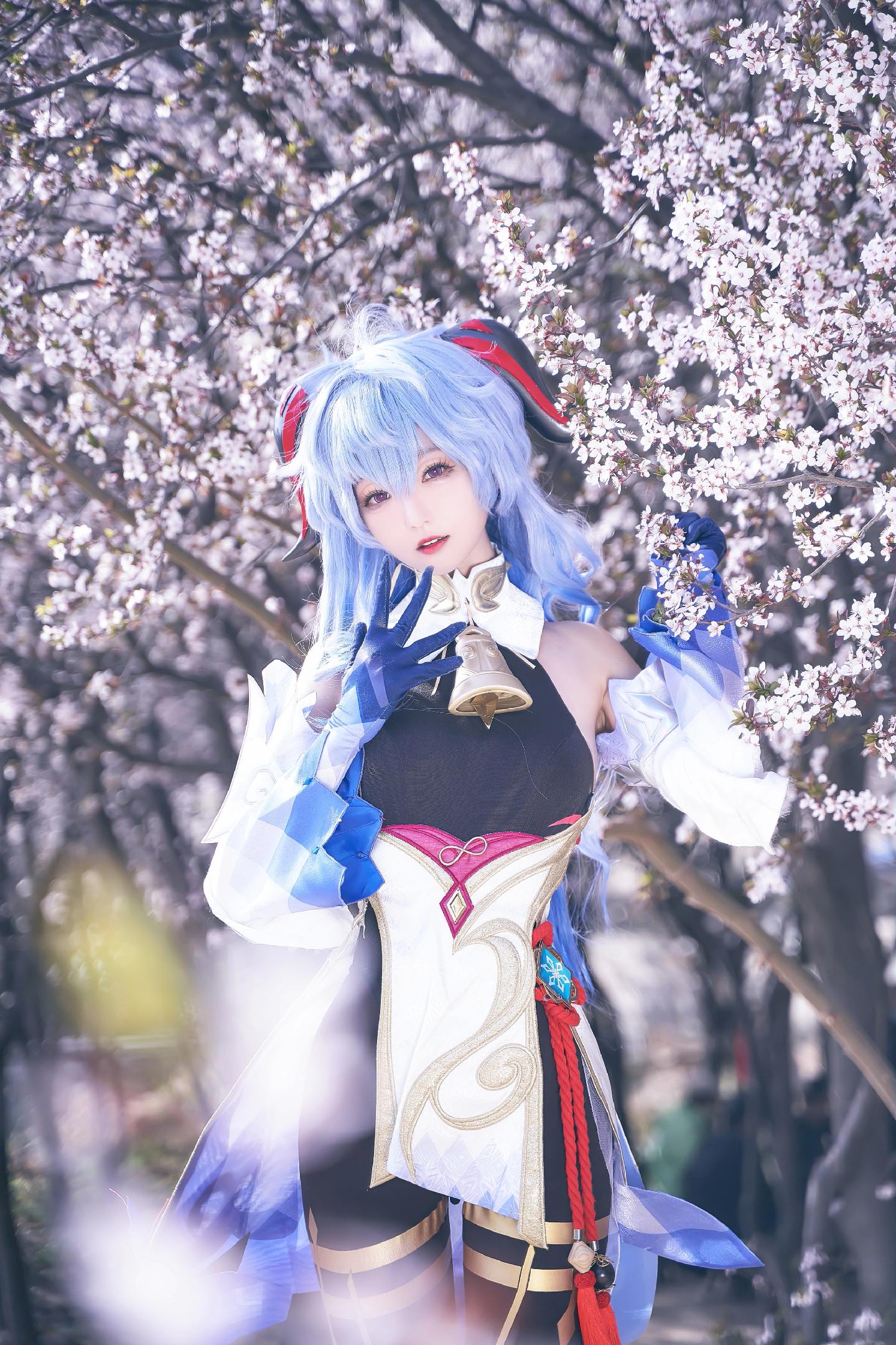 禹都一只猫资源资讯