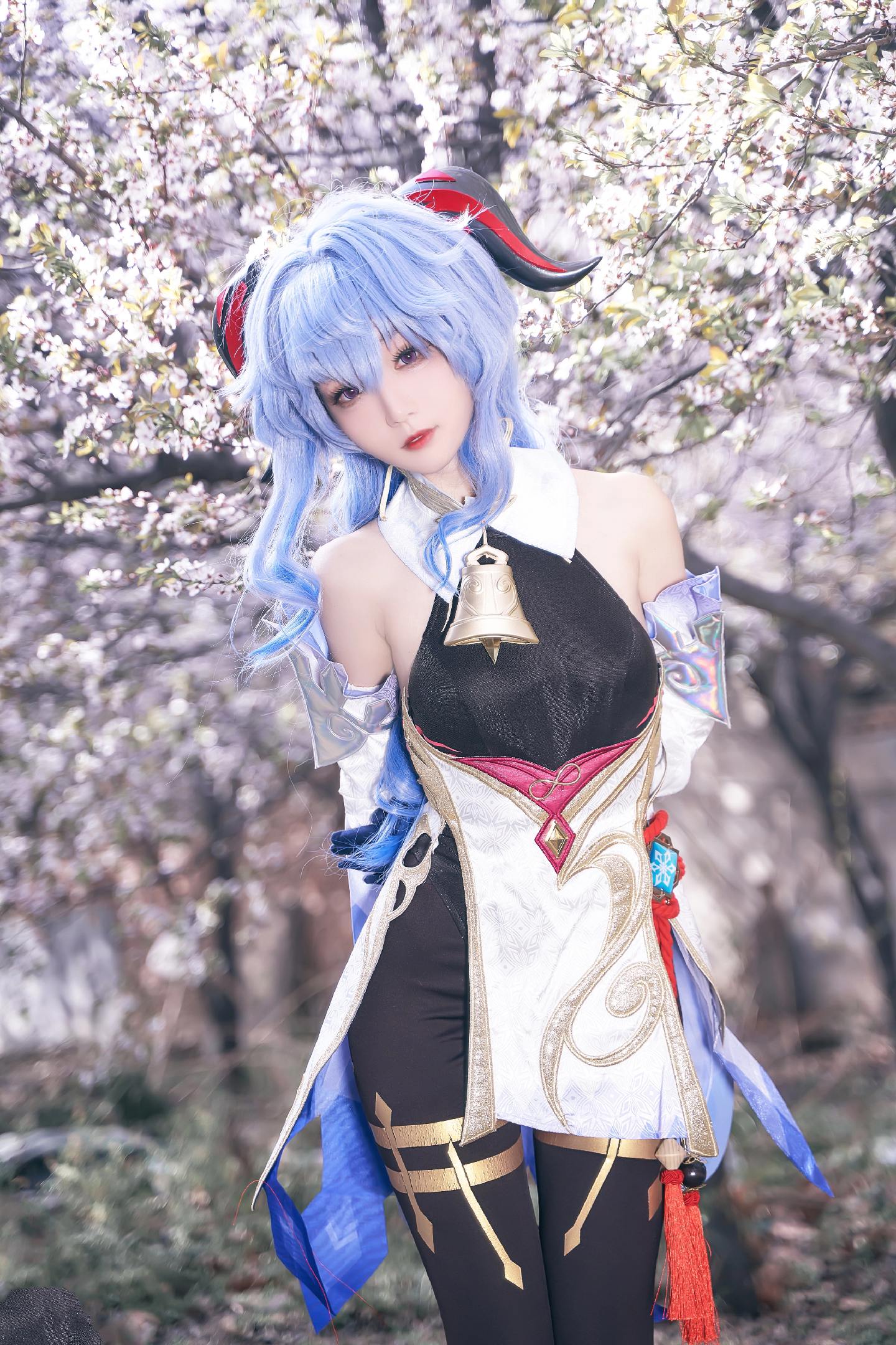 禹都一只猫资源资讯