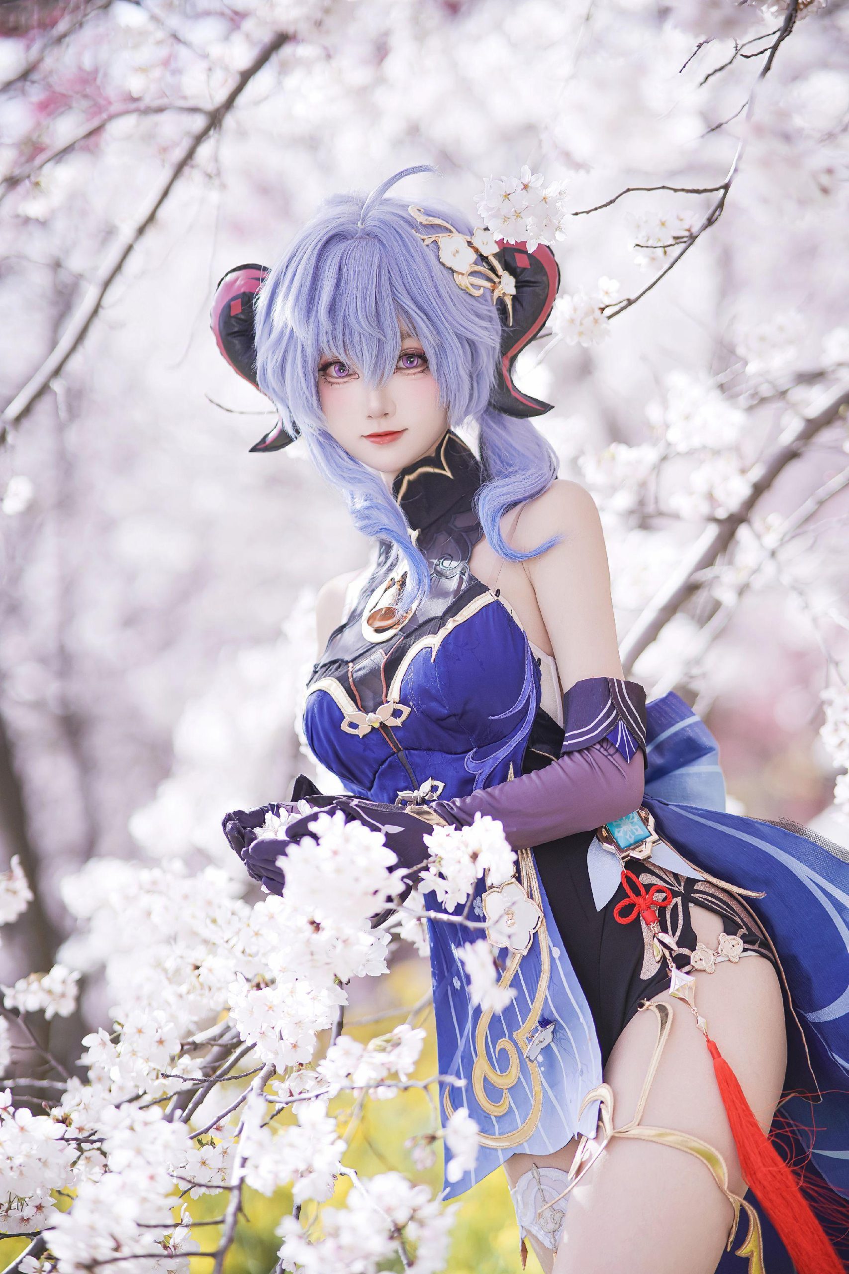 禹都一只猫资源资讯