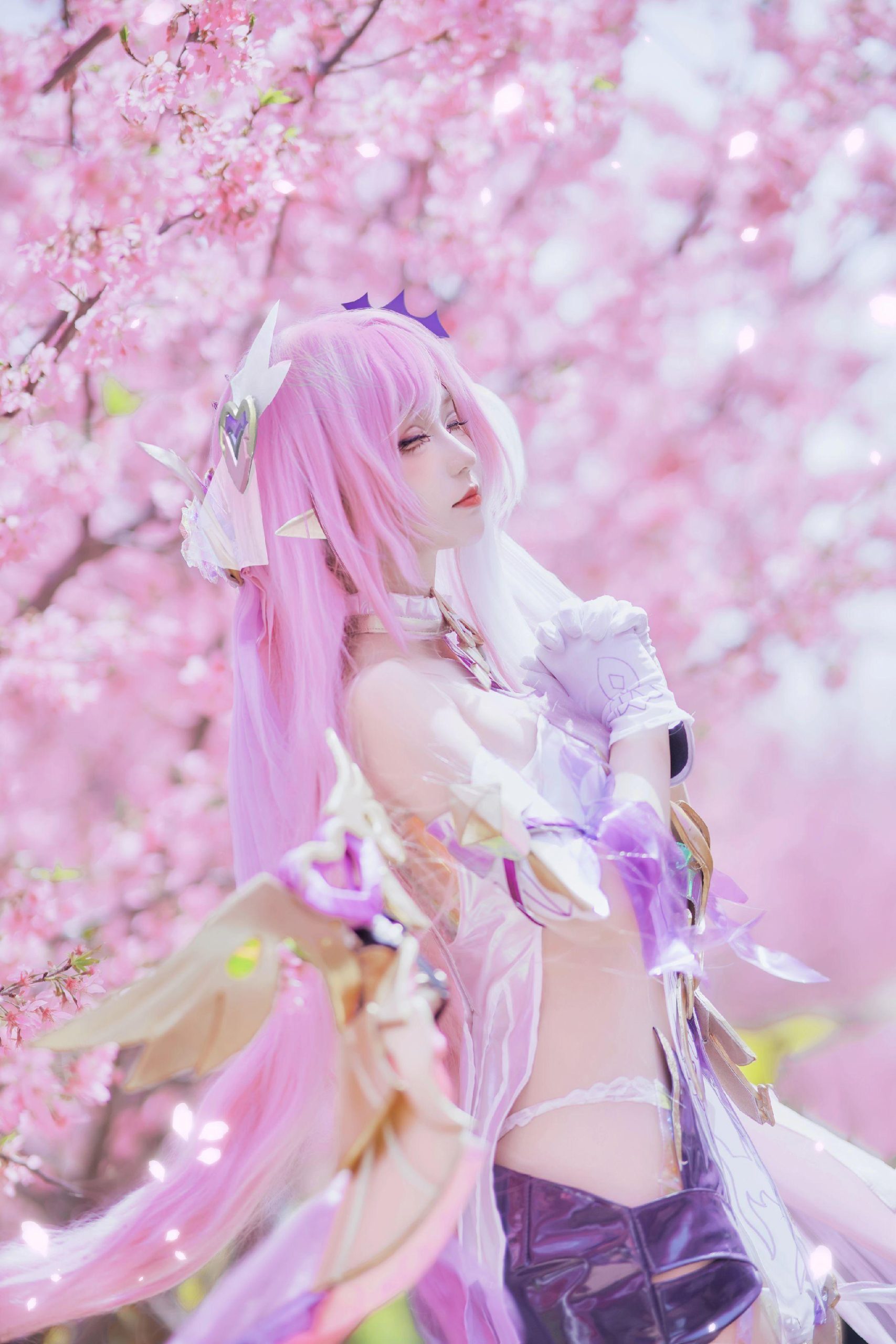 禹都一只猫资源资讯