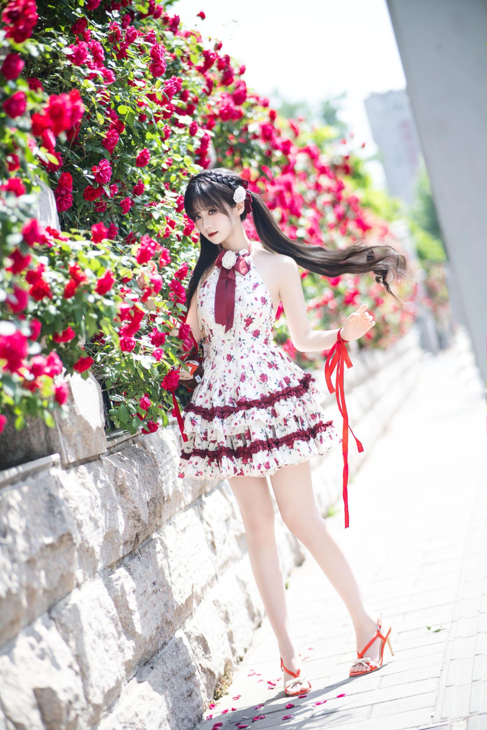 禹都一只猫资源资讯