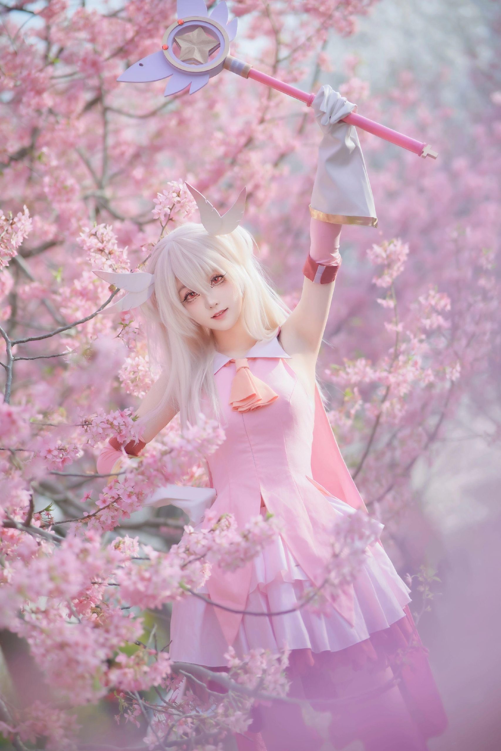 禹都一只猫资源资讯