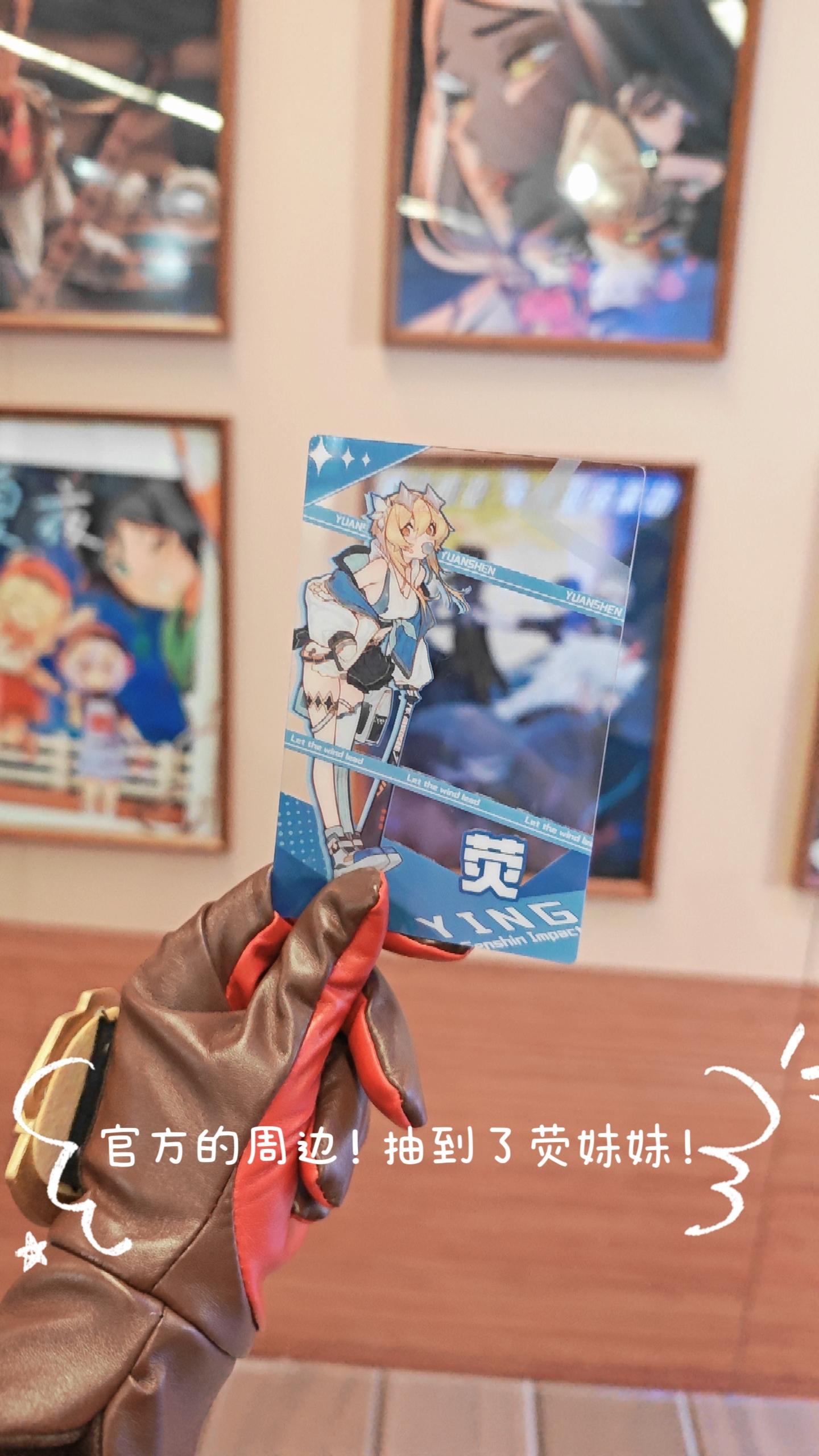 禹都一只猫资源资讯