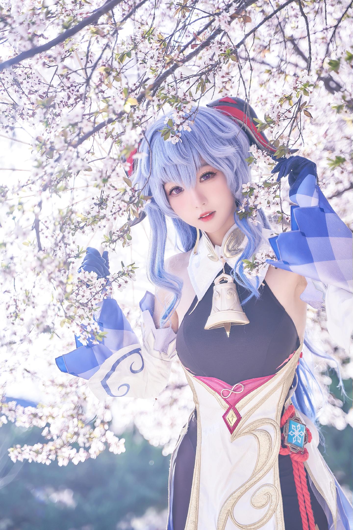 禹都一只猫资源资讯