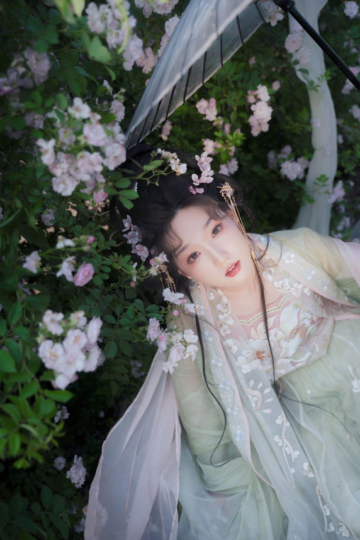 禹都一只猫资源资讯