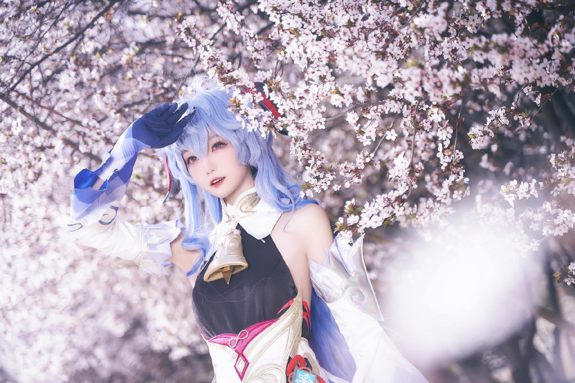 禹都一只猫资源资讯