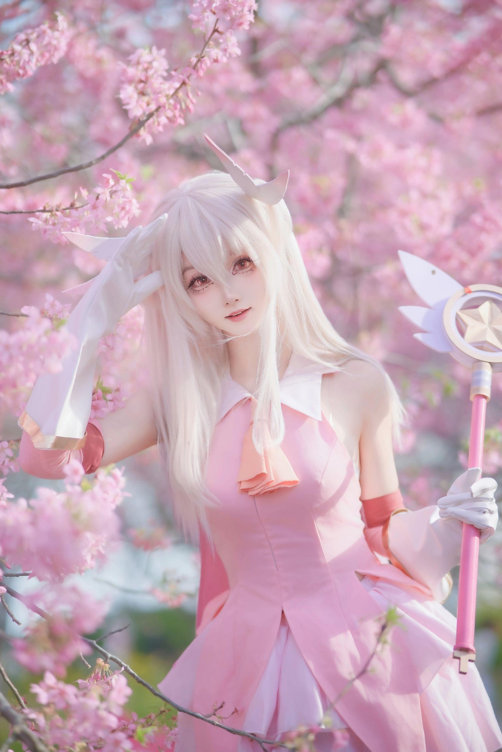 禹都一只猫资源资讯